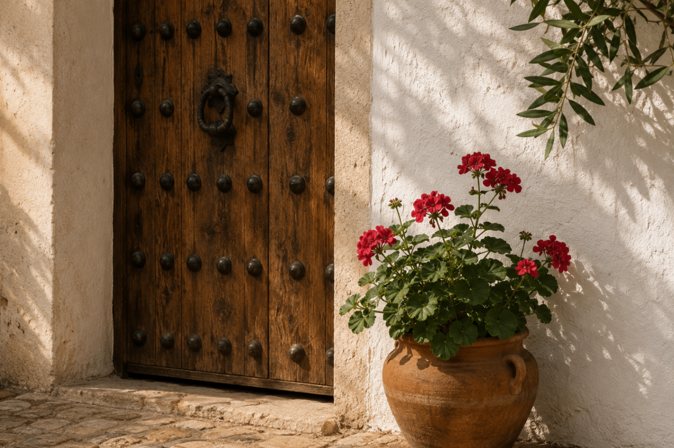close view of a studded wooden doorway beside a terracotta pot of red geraniums